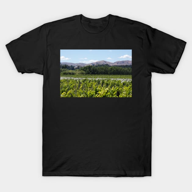 the vines T-Shirt by sma1050